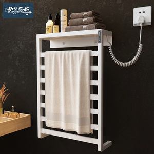 Fate/Grand Order師匠價格解析與智能毛巾架 跨界商品的價值探討